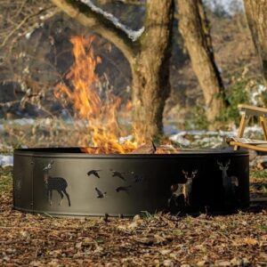 Gathering Around Our 36-Inch Deer & Bird Fire Ring: A Review